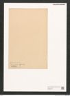 Diatomeae indet. Zeichnungen Sammlung Grunow (NHMW-BOT-W0369793)